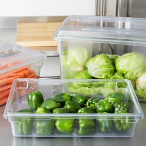 Clear Food/Tote Boxes for storing and serving food